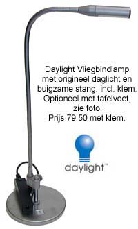 Lamp Daylight.jpg